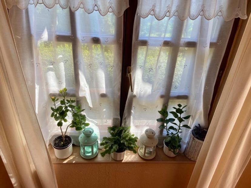 Fodor Haz Apartment Gyenesdias Bagian luar foto